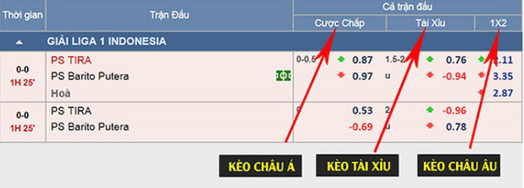 Cách nhận định tỷ lệ kèo nhà cái chuyên sâu tại tenisweb